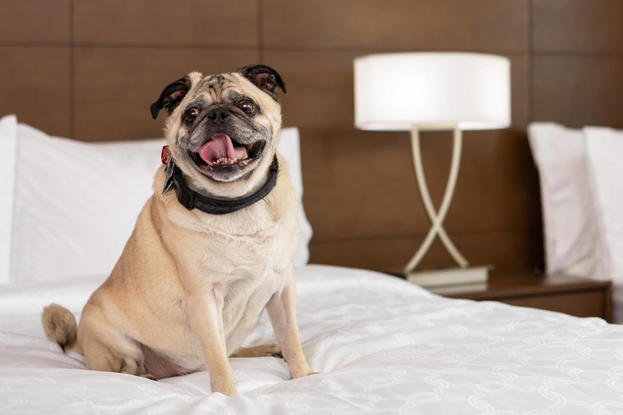 Staybridge Suites Charlottesville Airport By Ihg Bagian luar foto
